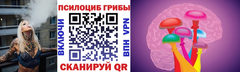 Купить закладки Каргополь Псилоцибиновые грибы Psilocybine cubensis
